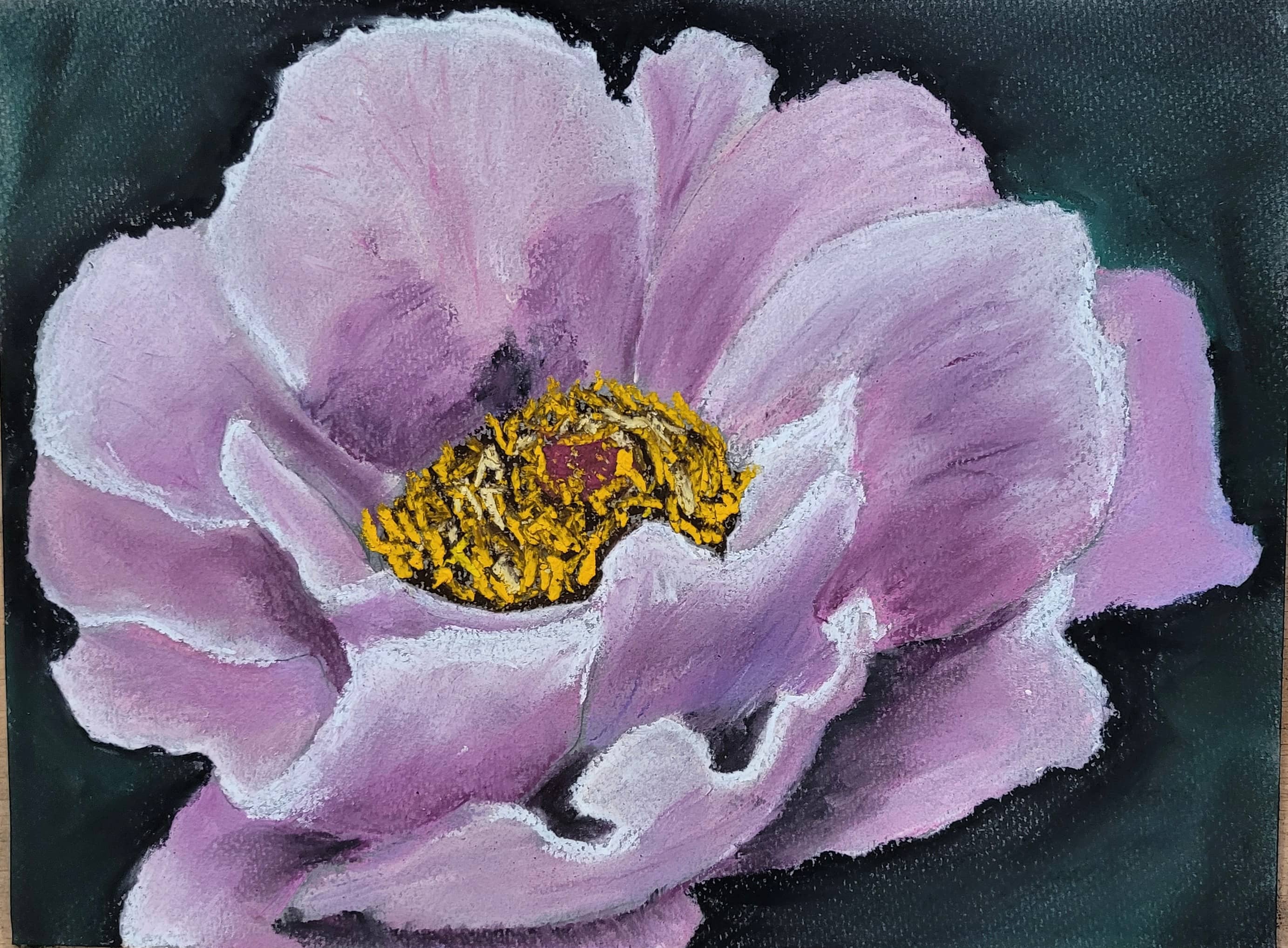 Students ages 14+ created a detailed pastel flower study